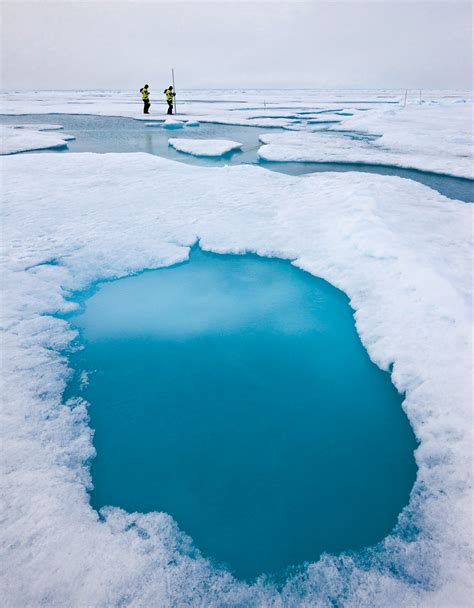 Arctic impact | Science