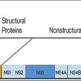 The Luminex 200 instrument. http://www.biosyn.com/luminex-bead.aspx | Download Scientific Diagram