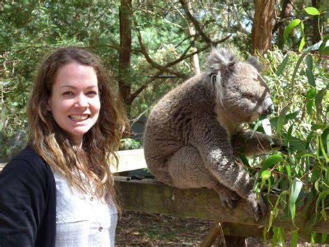 Will climate change make the koalas' diet inedible?