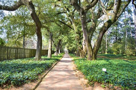 Discovering the Gardens of Aiken, South Carolina | Garden Destinations ...