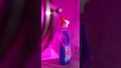 Windex + Romance 📸 - YouTube