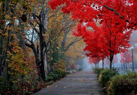 20 Stunning Photos Of Oregon's Fall Foliage | That Oregon Life