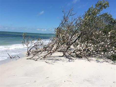 Palm Harbor FL Beach Information