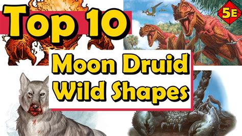 Top 10 Best Moon Druid Wild Shapes In Dnd 5e – Otosection