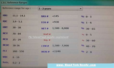 CBC normal values for age 1-2 years – Blood Test Results Explained