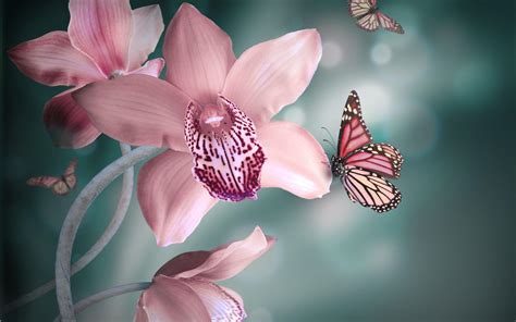 Butterflies on Orchid Flowers Wallpapers HD / Desktop and Mobile Backgrounds