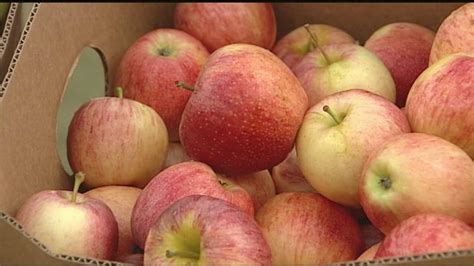 Large turnout expected at Brushy Mountain Apple Festival