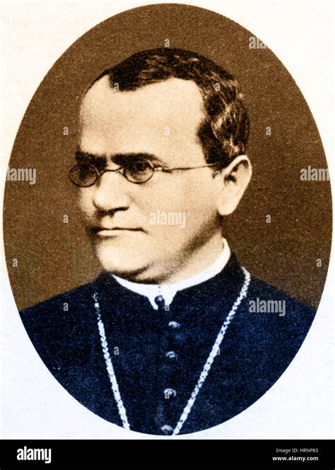 Gregor Mendel, Father of Genetics Stock Photo - Alamy