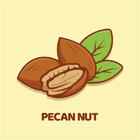 Pecan Nut cartoon vector icon illustration isolated 13708106 Vector Art at Vecteezy