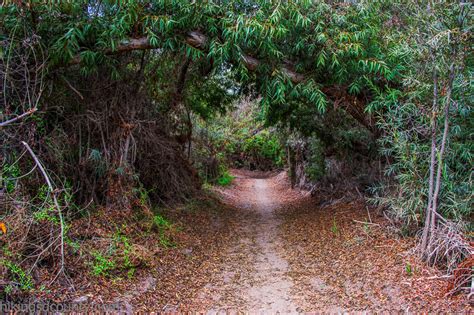 Tijuana River Valley Regional Park (Northeast) - Hiking San Diego County