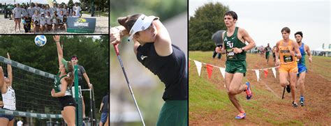 Three Stetson Teams Earn Top NCAA Academic Honors - Stetson Today