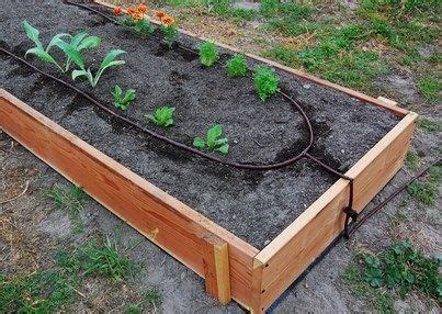 Drip Irrigation for Raised Bed Gardens – Mother Earth News | Vegetable garden raised beds ...