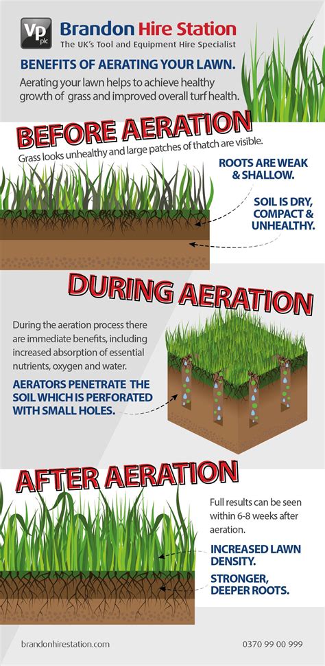 Find Out The Benefits of Aerating Your Lawn