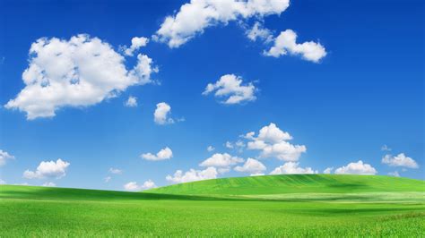 🔥 [71+] Grassland Backgrounds | WallpaperSafari