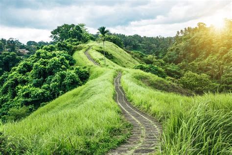 Take the Campuhan Ridge Walk through the lovely green hills of Ubud and ...