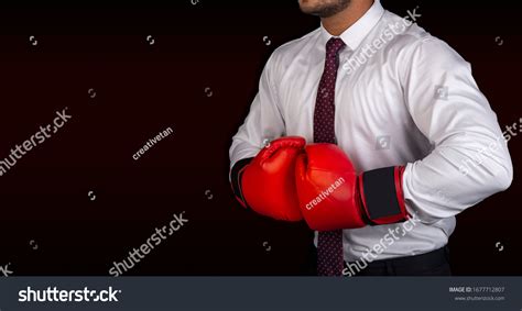 Professional Showing Muscles Boxing Gloves Challenge Stock Photo ...