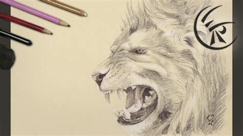 Drawing "roaring Lion" Timelapse - YouTube