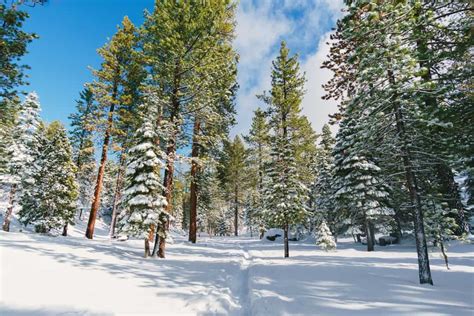 How to Plan the Perfect Lake Tahoe Winter Vacation