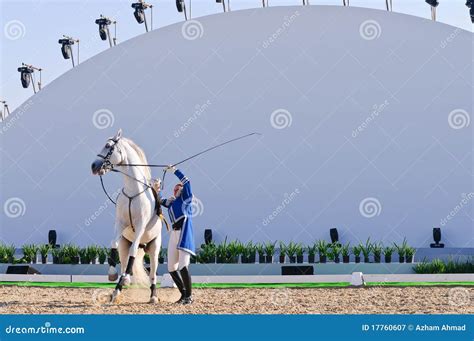 Lipizzan Stallions show editorial photography. Image of manama - 17760607