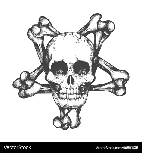 Human skull bone pentagram tattoo Royalty Free Vector Image