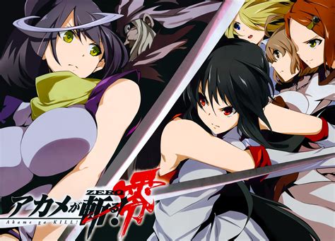 Akame HD Wallpaper - Fierce Heroes of Akame ga Kill!