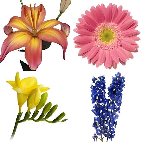 Buy Wholesale Bulk Spring Blooms DIY Flower Kit in Bulk - FiftyFlowers