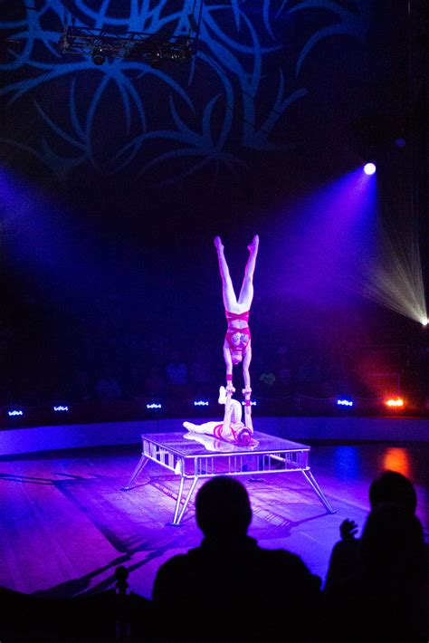 Circus Sarasota 2019 | A spectacular circus of performers fr… | Flickr