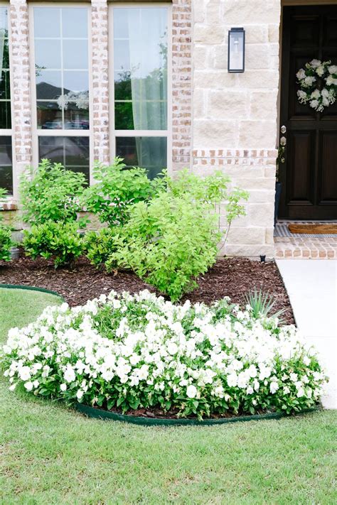 Inexpensive Ways to Create Instant Curb Appeal | Curb appeal, Front yards curb appeal, Front yard