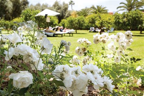 La Mamounia Hotel, Marrakech Gardens - Flower Magazine