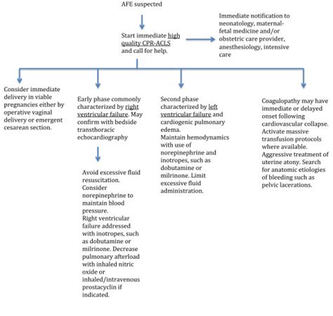 Amniotic fluid embolism: diagnosis and management | Obgyn Key