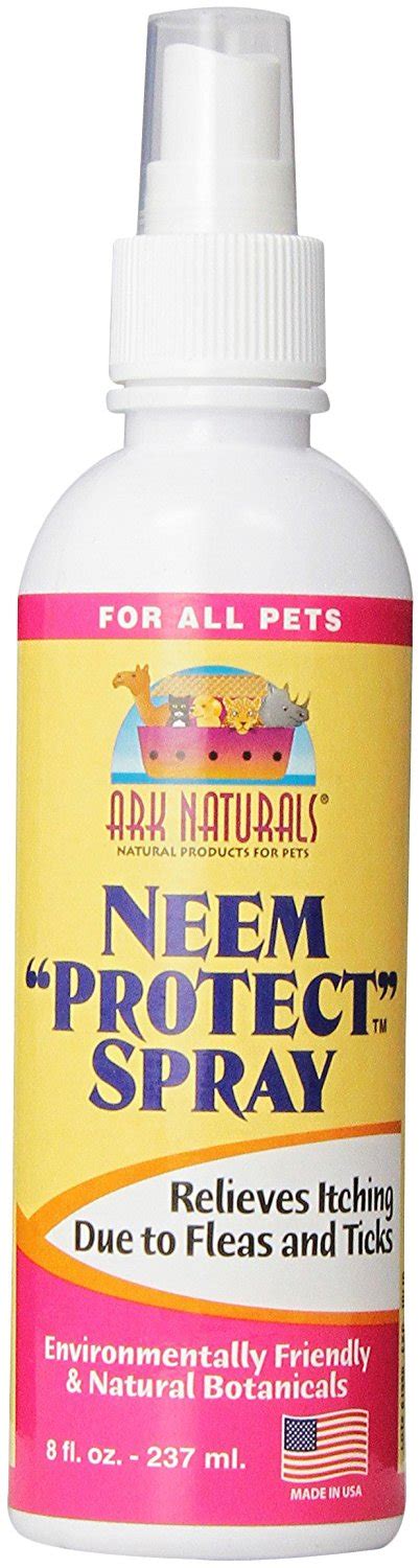 Best Flea Repellent for Humans: 5 Perfect Ways to Prevent Flea Bites