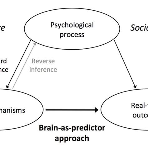 (PDF) Research methods in social and affective neuroscience