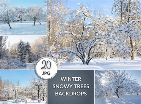 20 Winter Snowy Backdrops, Blue Sky, Winter Digital Background, Snowy ...