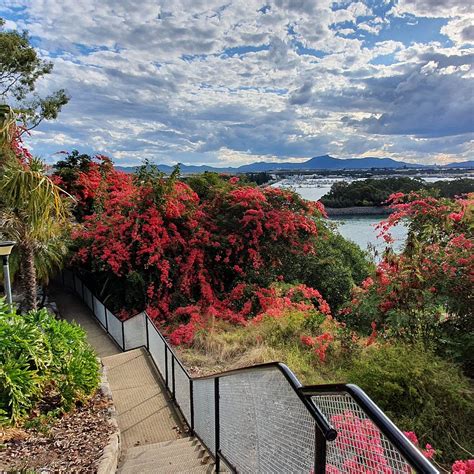 THE 10 BEST Things to Do in Gladstone - 2021 (with Photos) - Tripadvisor