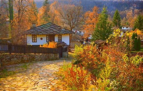 Wallpaper Home, Autumn, Village, Fall, Track, Autumn, Colors, Village, Path images for desktop ...