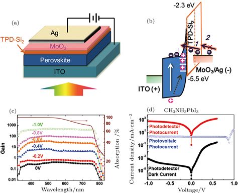 Recent research process on perovskite photodetectors: A review for photodetector—materials ...