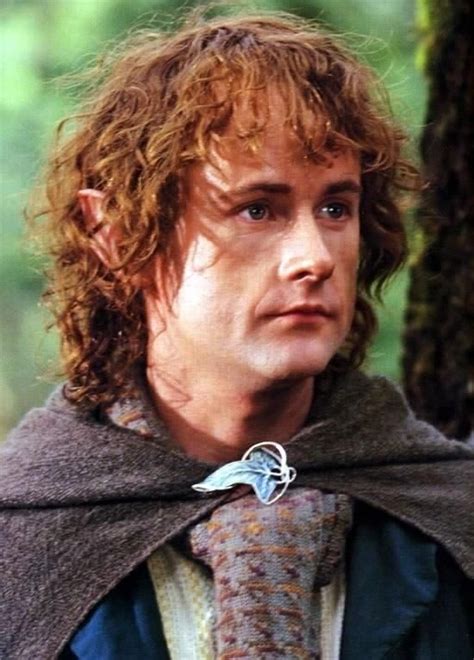 Peregrin Took. Pippin is the youngest and has three sisters. Merry is ...