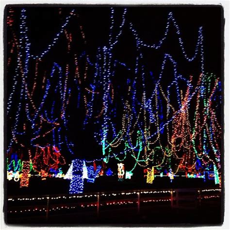 Enjoying the Kiwanis holiday lights at Sibley Park. | Flickr