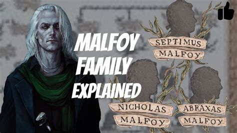 MALFOY Family Tree explained | The story of the Malfoys | Origins | Premium Theory! - YouTube