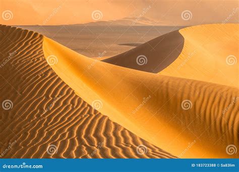 Deserts of Oman stock photo. Image of saudi, lizard - 183723388