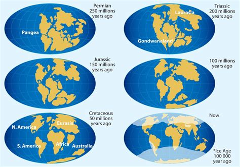 Continental Drift Vector Maps | Continental drift, Map vector, India ...