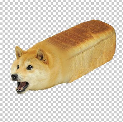 Shiba Inu Italian Greyhound Puppy Doge Dog Breed PNG, Clipart, Animals, Bread, Breed, Breed ...