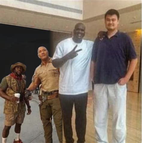 Height difference between Kevin Hart-Rock-Shaq-Yao Ming (photoshopped ...