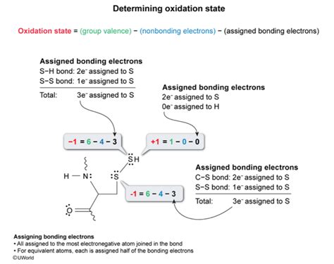 Oxidation State from Lewis Structures? : r/Mcat