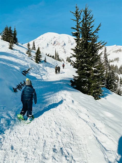 snowshoeing at myrtle falls by mt. rainier - Loving Life Moore