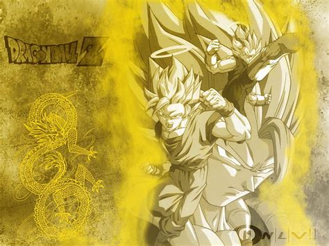 Goku And Vegeta Fusion Wallpaper