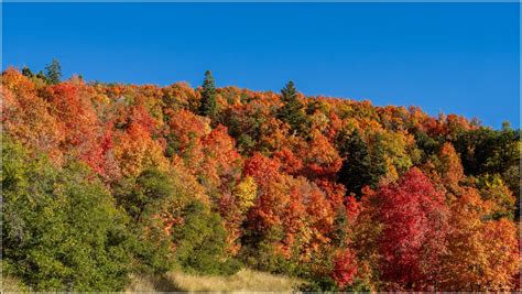 Does snow and rain impact how long Utah's fall colors stick around?