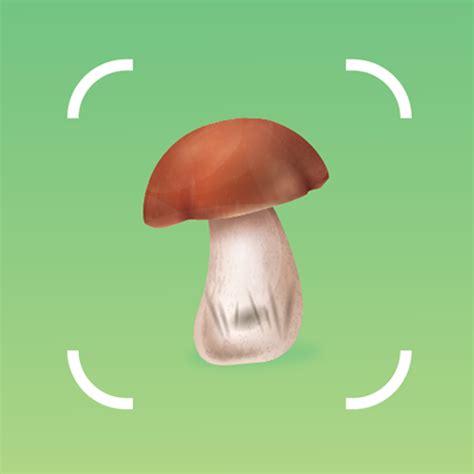 Mushroom Identifier by Picture - Apps on Google Play