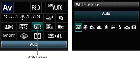 How to Change the White Balance Settings on a Canon EOS 60D - dummies