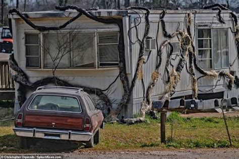 Stranger Things Season 4 New Set Photos Reveal Upside Down – FilmyOne.com – Filmy One